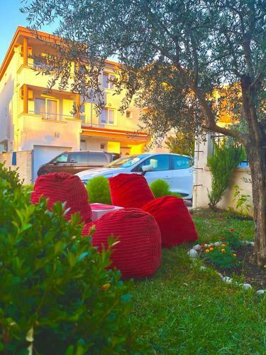 Apartments Dielli