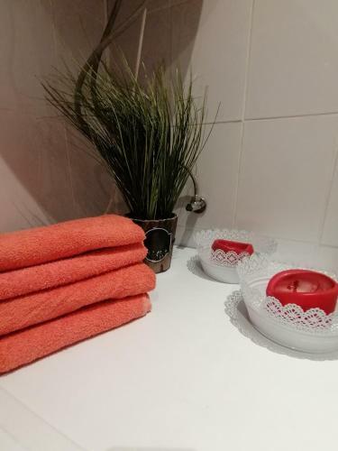 Apartamento Big Rose