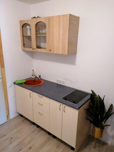Apartamento Big Rose