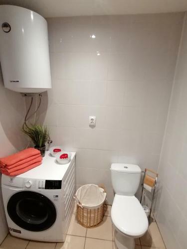 Apartamento Big Rose