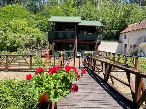 Apartmani Pine-forest