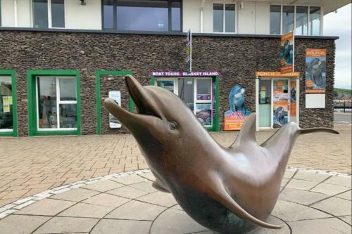 Centre Of Dingle Town - Luxury Holiday Apartment