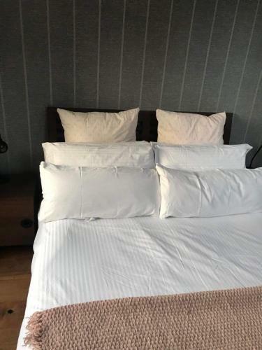 Centre Of Dingle Town - Luxury Holiday Apartment