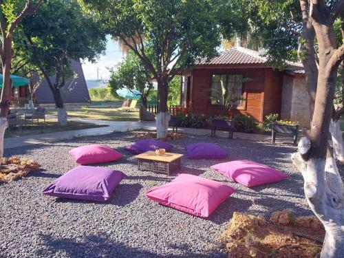 Bed & Breakfast Miss Mandarin Bungalow Evleri