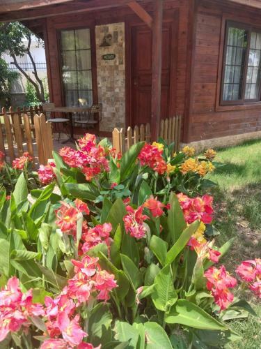 Bed & Breakfast Miss Mandarin Bungalow Evleri