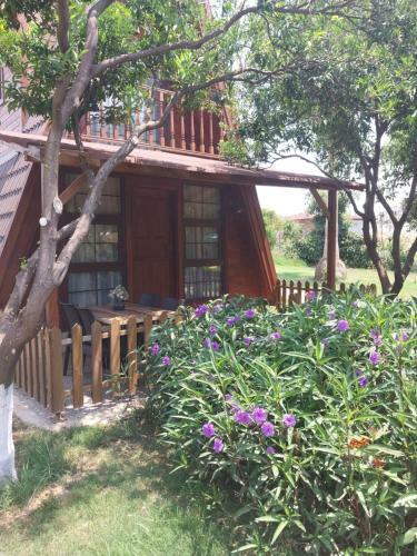 Bed & Breakfast Miss Mandarin Bungalow Evleri