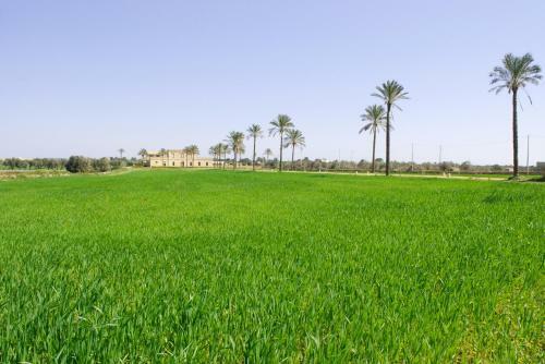 Bed & Breakfast Masseria Galatea
