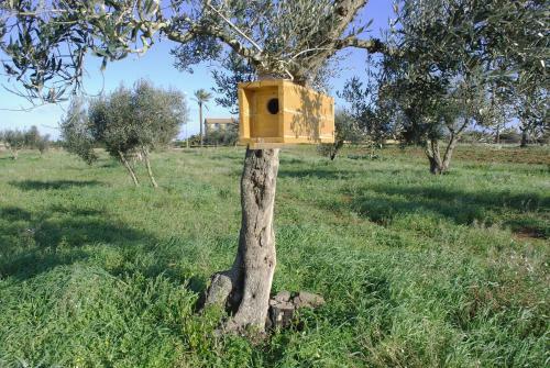 Bed & Breakfast Masseria Galatea