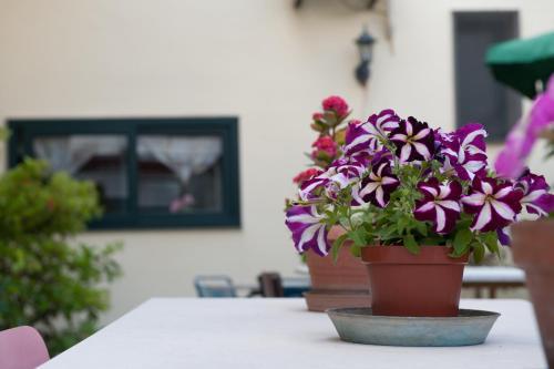 Bed&breakfast Annapaola