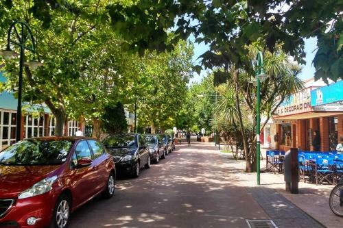 Apartamento Confortable 2 Ambientes, Excelente Ubicaci�n