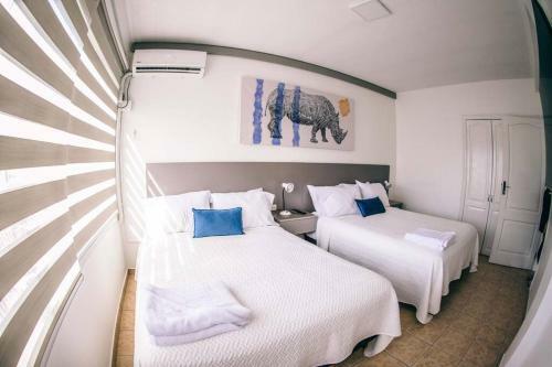 Apartamento Suite De 5! Centro De Scz + Desayuno De Regalo