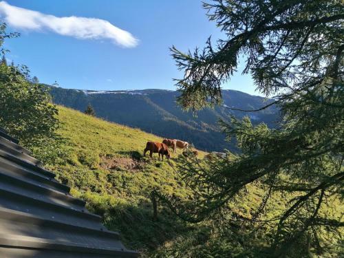 Cycling And Hiking House