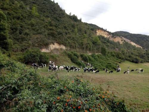 Caba�a De La Monta�a