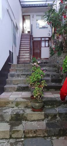 Hostal Cusco Vista Guest House