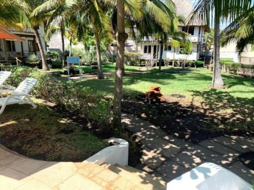 Cabo Tortugas