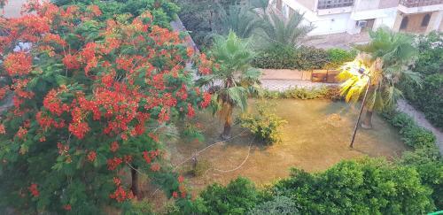 Charming Apartment In Mamurah Beach