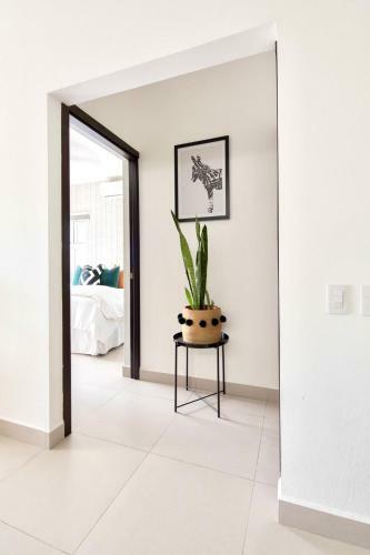 Bright & Airy 2br Condo Minutes From Jaco Beach