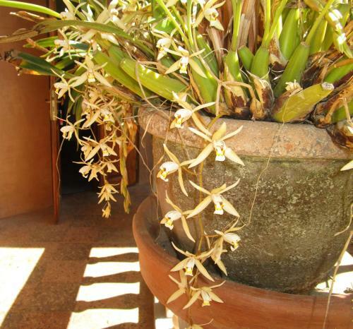 Hostal Meva Guesthouse