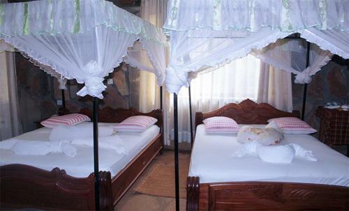 Ango Tree Hotel