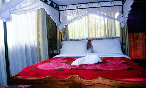 Ango Tree Hotel