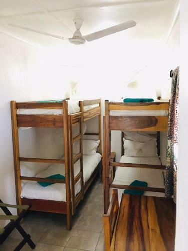 Hostal Green Tree Lodge