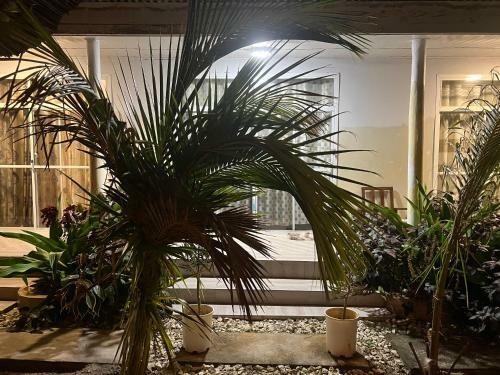Bed & Breakfast Mafia Island Dindini Hotel