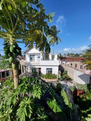 Bed & Breakfast Karibu House
