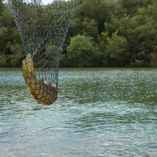 Apartamento Uitvlugt Ponds