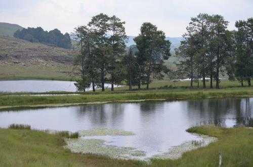 Apartamento Uitvlugt Ponds