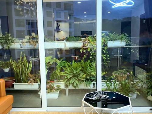Apartamento Ha Long The Saphire Residence