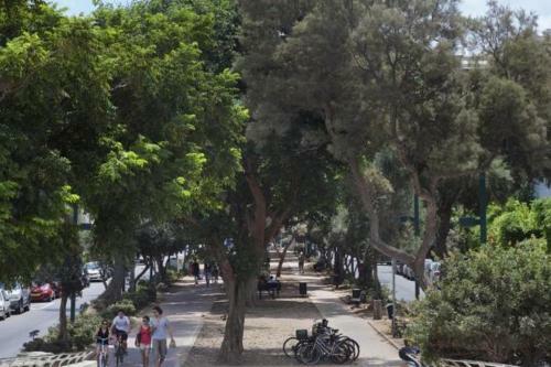 Apartamento Tlv Living 2