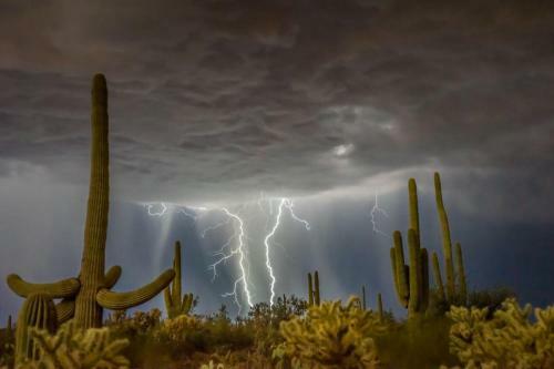 Tucson Natural 5br By Casago