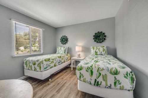 Scottsdale Dreams