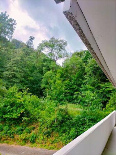 Apartamento Ferienwohnung Burgbergblick