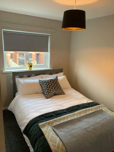 Relaunched - City Centre Plush Pad