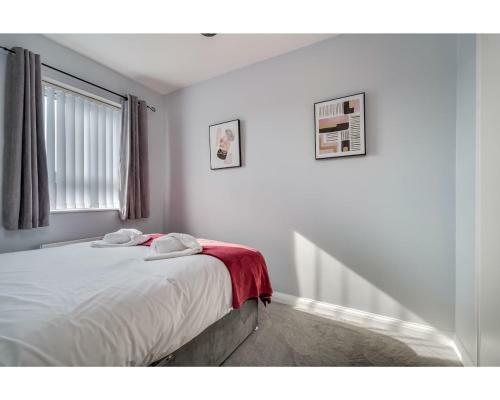 Central Belfast Apartments: Cromwell