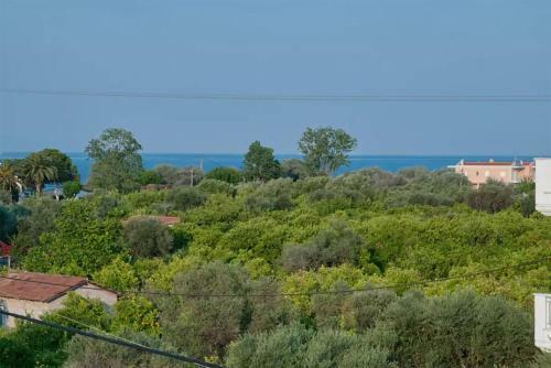 Apartamento New-olivaholidayhomes - Boho Studio Pool