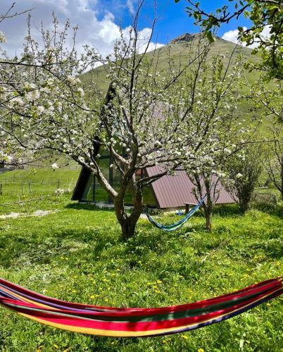 Apartamento Sno Cottage