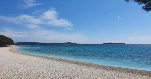 Sea View Apartment 40m From The Beach