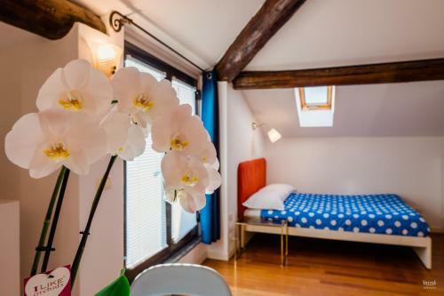 Apartamento Central Terrace Guest House