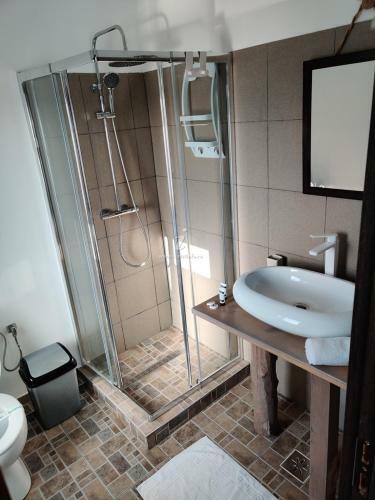 Hostal Casa Vlad