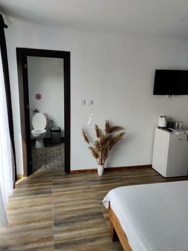 Hostal Casa Vlad
