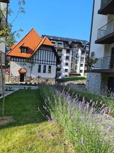 Apartamento Oasis Titova Vila