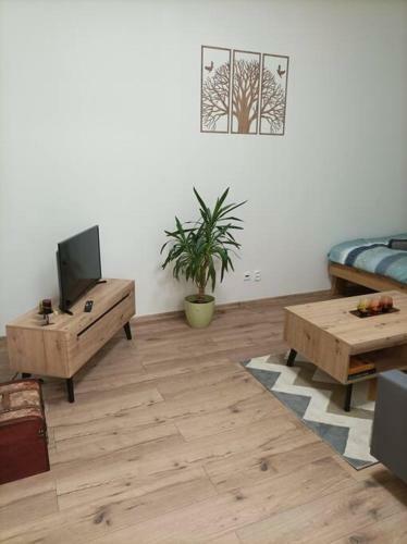 ?t�lov� Apartm�n Zempl�nska