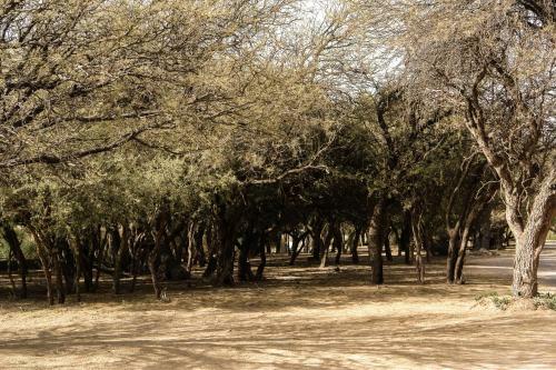 Apartamento Algarroba - Hospedaje