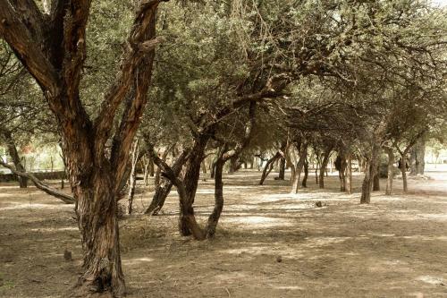 Apartamento Algarroba - Hospedaje