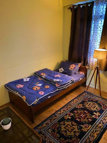 Best View Homestay