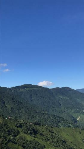 Best View Homestay