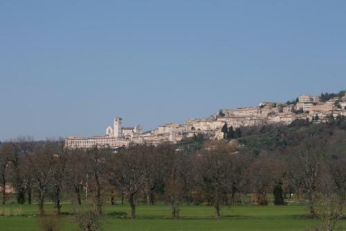 B&B Il Borgodmd