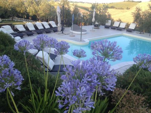 Agroturismo Tenuta Belvedere